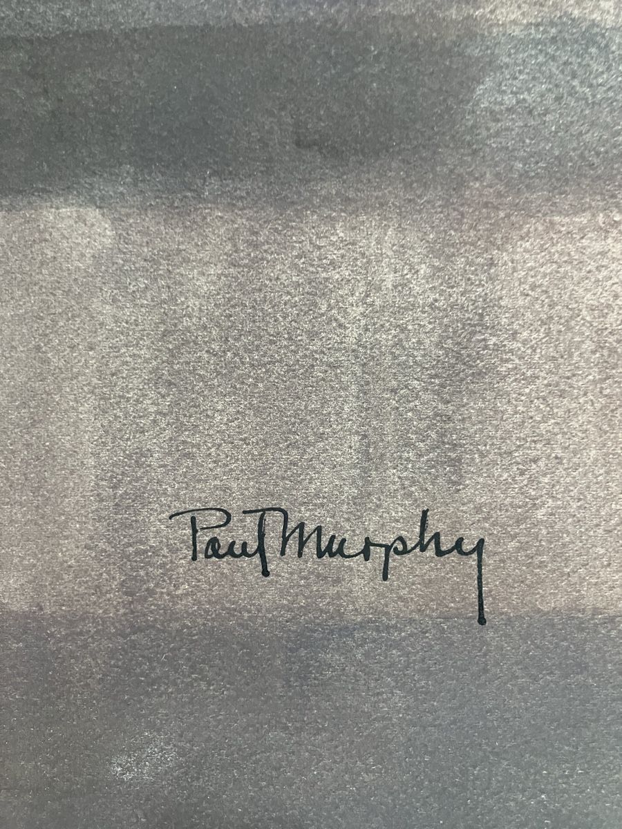 Dipinti: Grandes aquarelles de Paul Murphy – Usato da La Tour-de-Peilz venduto da mon_pd6m 4
