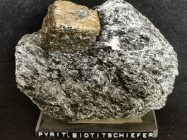 Mineralien:Pyrit auf Biotitschiefer/m. Kunststoffsockel/RAR!
