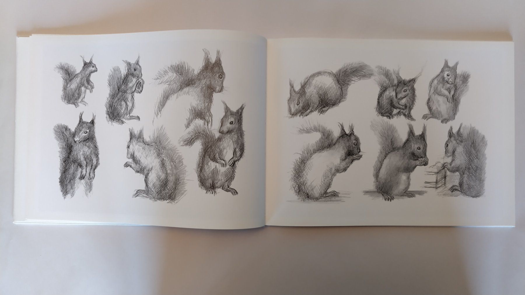 Livres: Peter Bergmann - Eichhörnchen auf Besuch / Bilderbuch – D'occasion à Bellach par JingleJerry 5