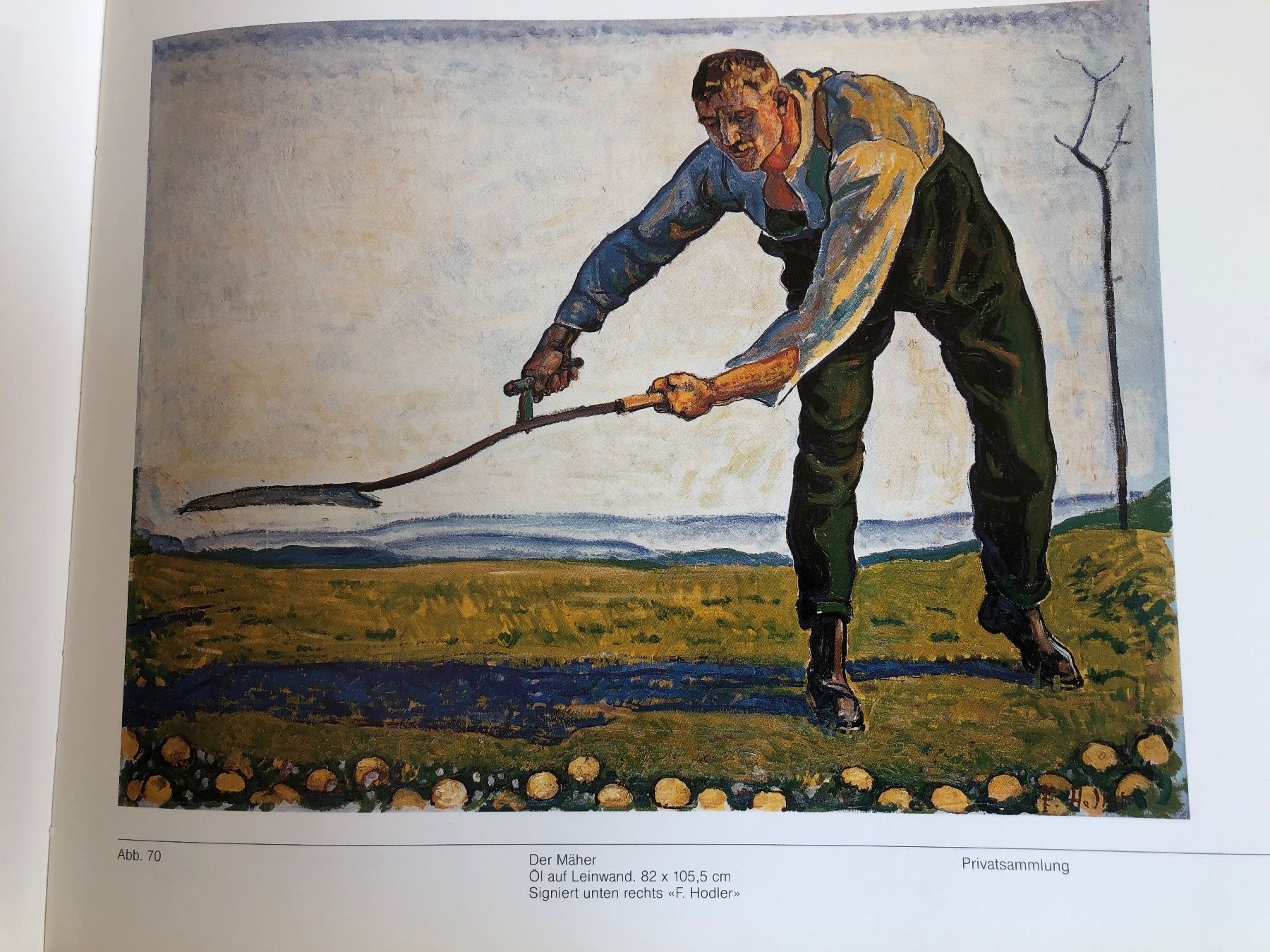 Libri: Ferdinand Hodler Eugène Burnand und die schweizerischen B... – Nuovo (secondo la descrizione) da Zürich venduto da Husopaska 2