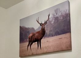 Grosser Hirsch-Print auf Leinwand, Bild, 125cm breit