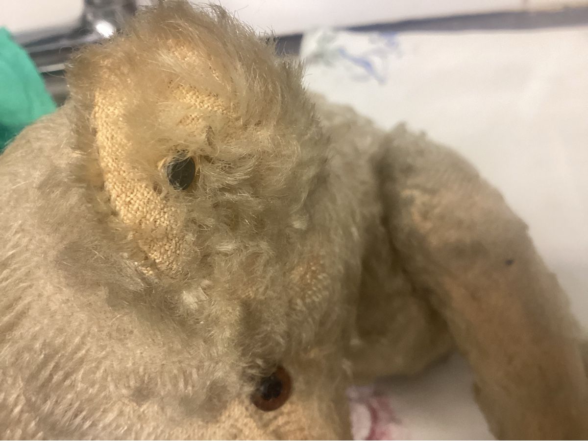 Steiff Jouets: ANTIKER STEIFF TEDDY VORKRIEG – D'occasion à Münchenstein par NoSu98 3