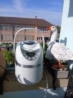 Machine à pain/selber mit der Brotbackmachine Brot machen!