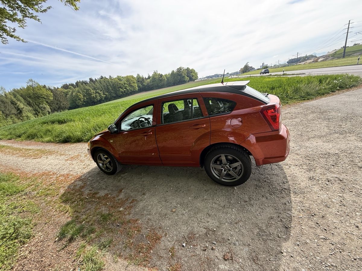 Automobili: Dodge caliber ab Service und mfk – Usato da Wiezikon b.Sirnach venduto da san_2msd 2