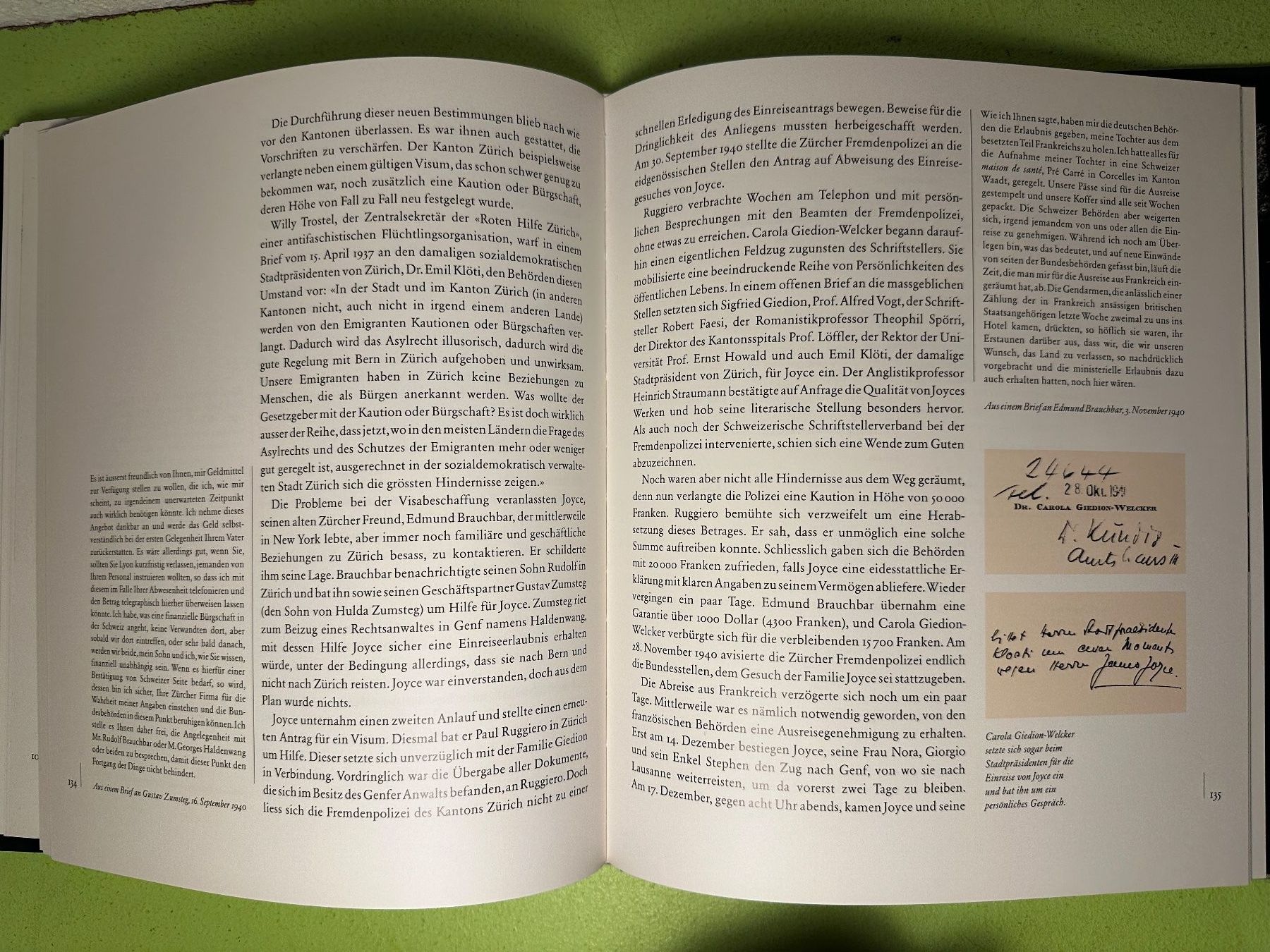 Libri: Thomas Faerber, Markus Luchsinger: Joyce in Zürich. – Usato da Zürich venduto da allp 8