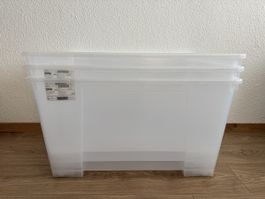 Ikea Box SAMLA auf Rädern - 3 Stück