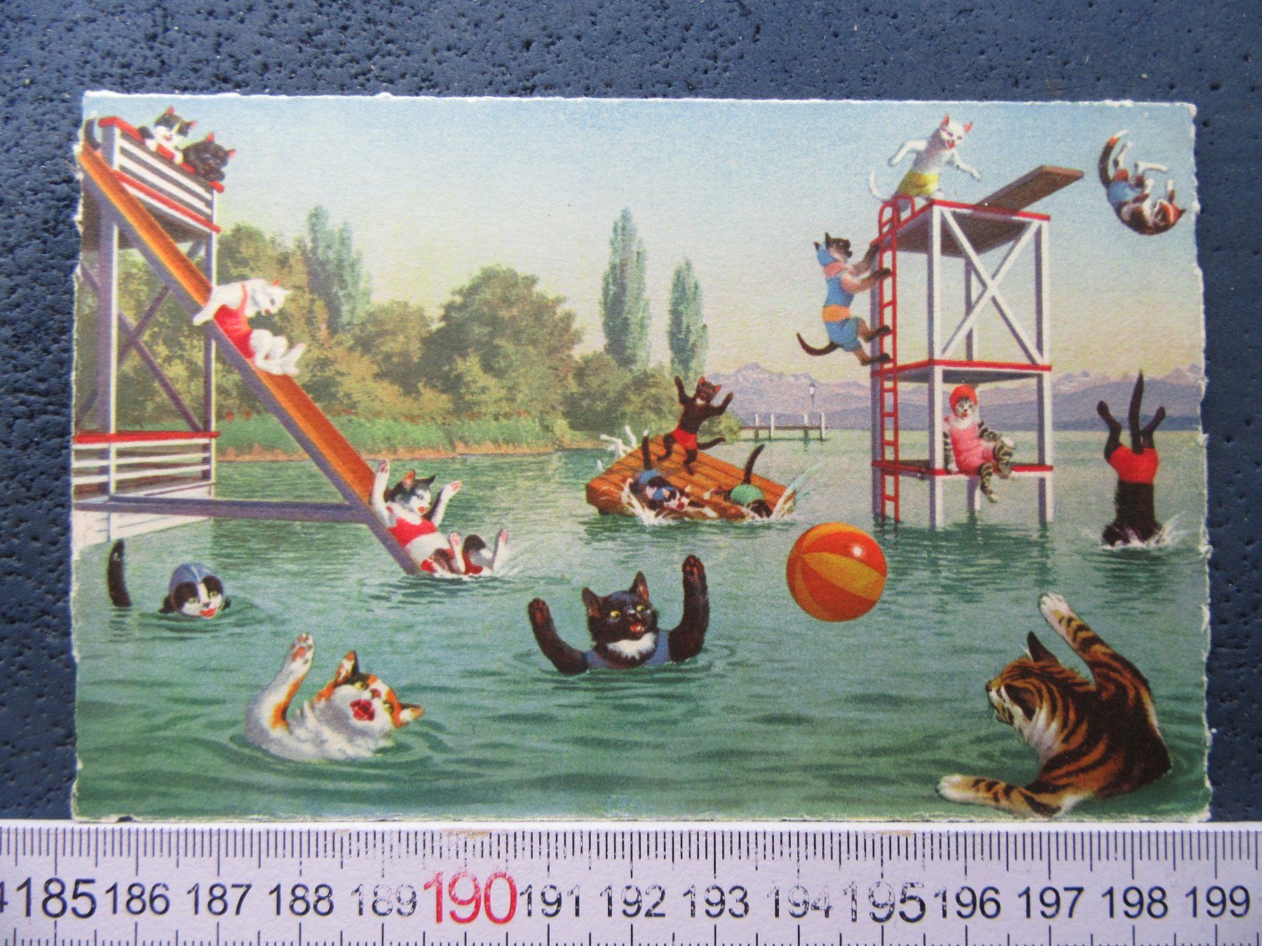 Cartoline postali: KATZEN AK STRANDBAD – Usato da Ettingen venduto da Hausi4711