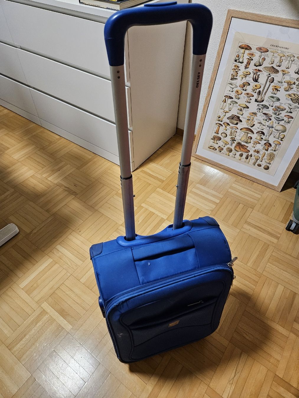 Delsey Valigie: Handgepäck blau – Usato da Rothrist venduto da Monadal 4