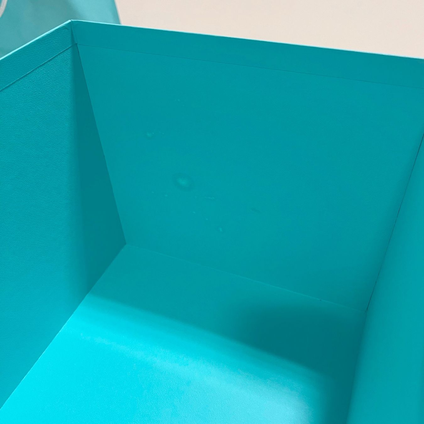 Tiffany & Co. Tutte le decorazioni: Tiffany & Co - Grosse Box und Tragtasche – Usato da Glattpark(Opfikon) venduto da Sammelbar 2