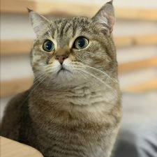 Profile image of yeoson