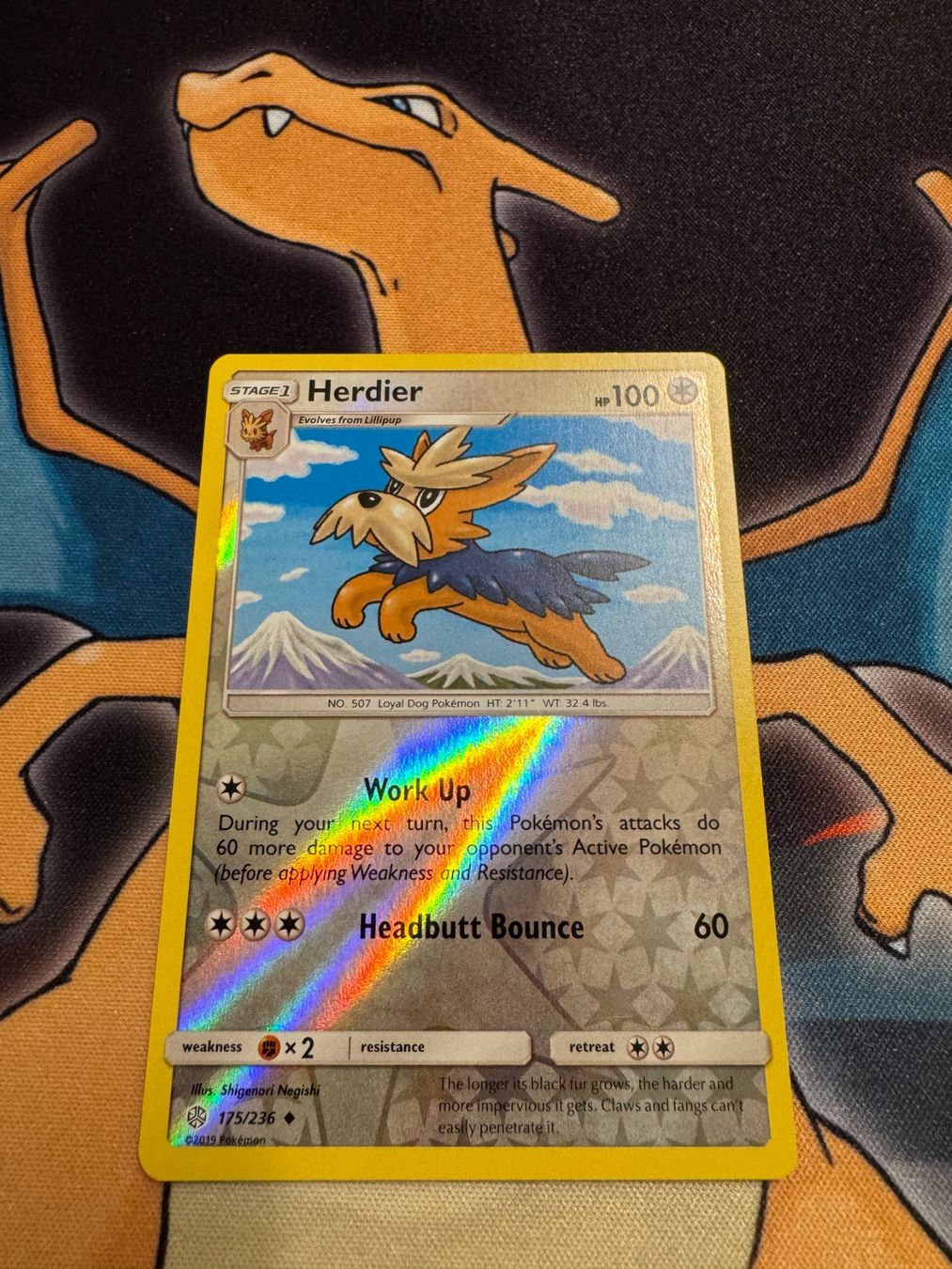 Pokémon Sammelbilder & Trading cards: Herdier (CEC 175) - Reverse Holo - Cosmic Eclipse – Neu (gemäss Beschreibung) aus Bülach von Pfrenzel