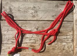 Knalliges Knotenloses Halfter L (WB)