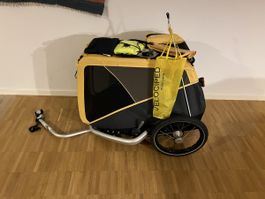 Croozer Dog L mit Zubehör, wenig gebraucht