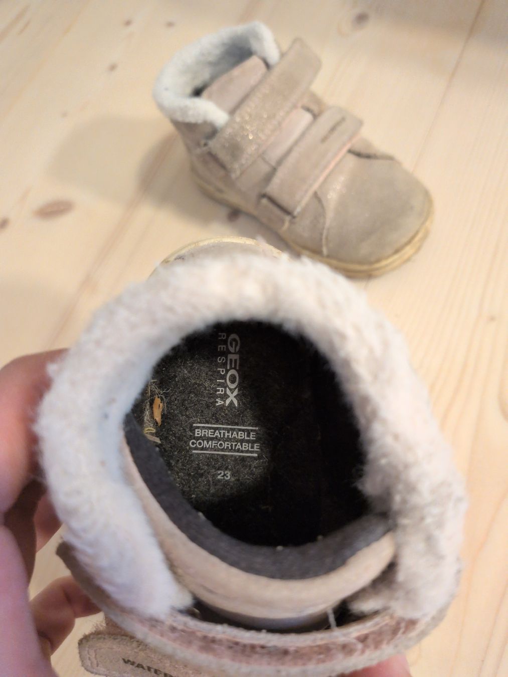 Geox Scarpe per ragazze: Geox Winterschuh Gr. 23 – Usato da Oberhelfenschwil venduto da Tattar 3