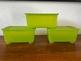 IKEA / 3 x GLIS Small Box (grün)