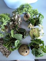 Künstliche Pflanzen Deko Set Terrarium Deko 