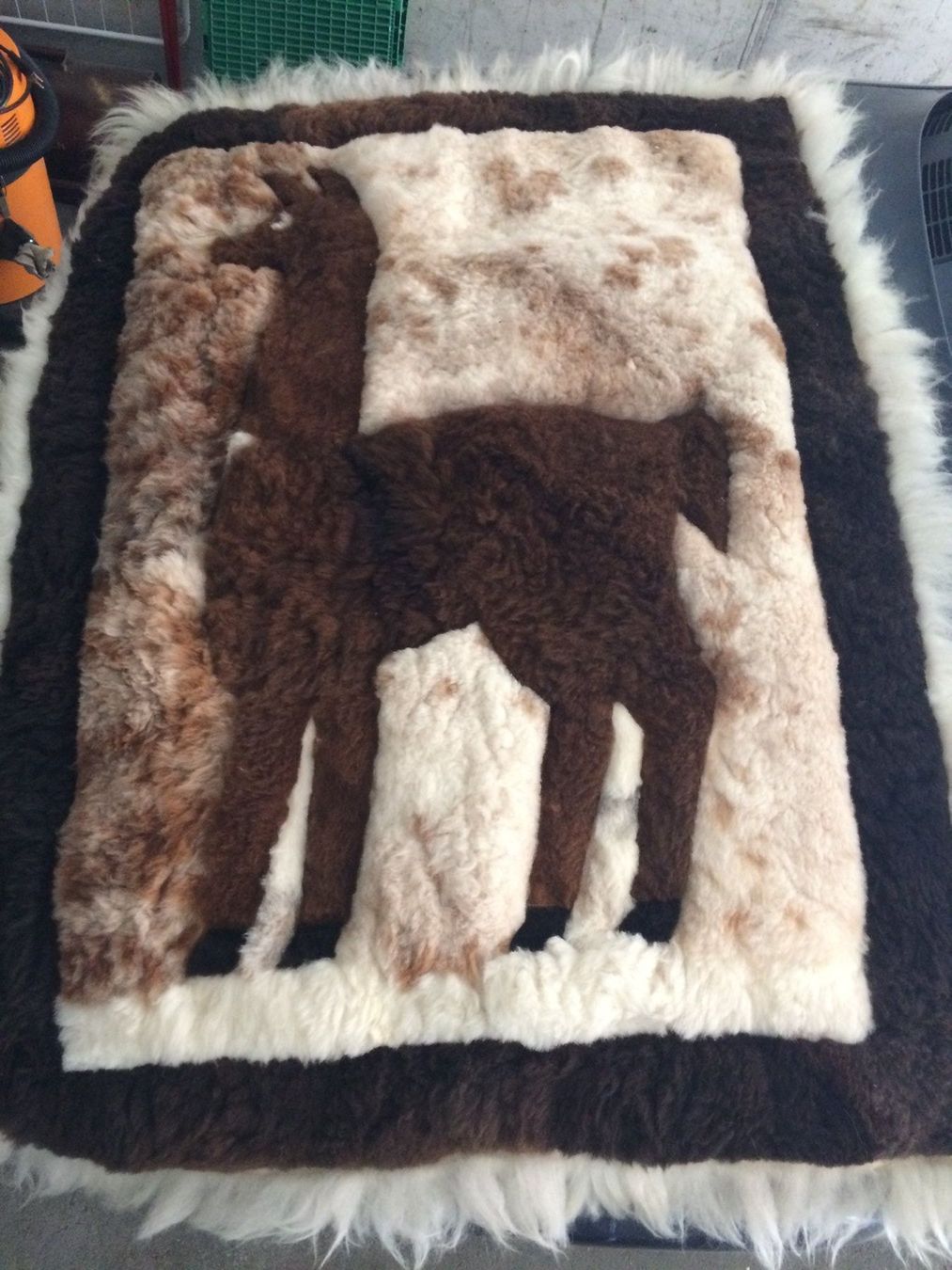 Teppiche: 🦙 Woll Teppich – Gebraucht aus Zermatt von GantVS