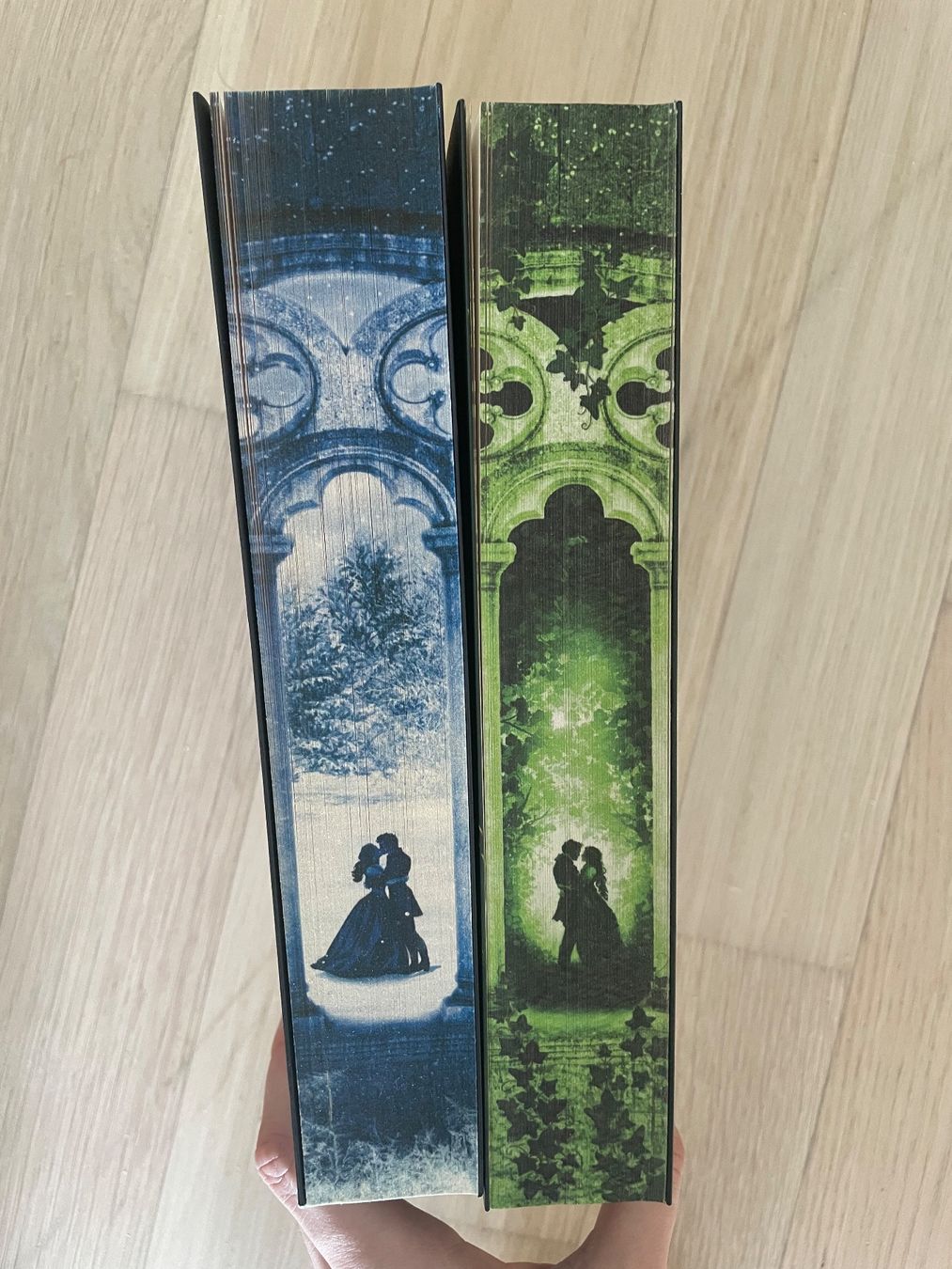 Libri: Romantasy Buch Bundle | the Four Winds Band 1+2 – Usato da Flawil venduto da nadia98 5