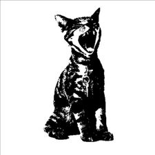 Profile image of luciegsr