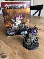 Maggotkin of Nurgle / Death Guard / Beast of Nurgle / Bemalt