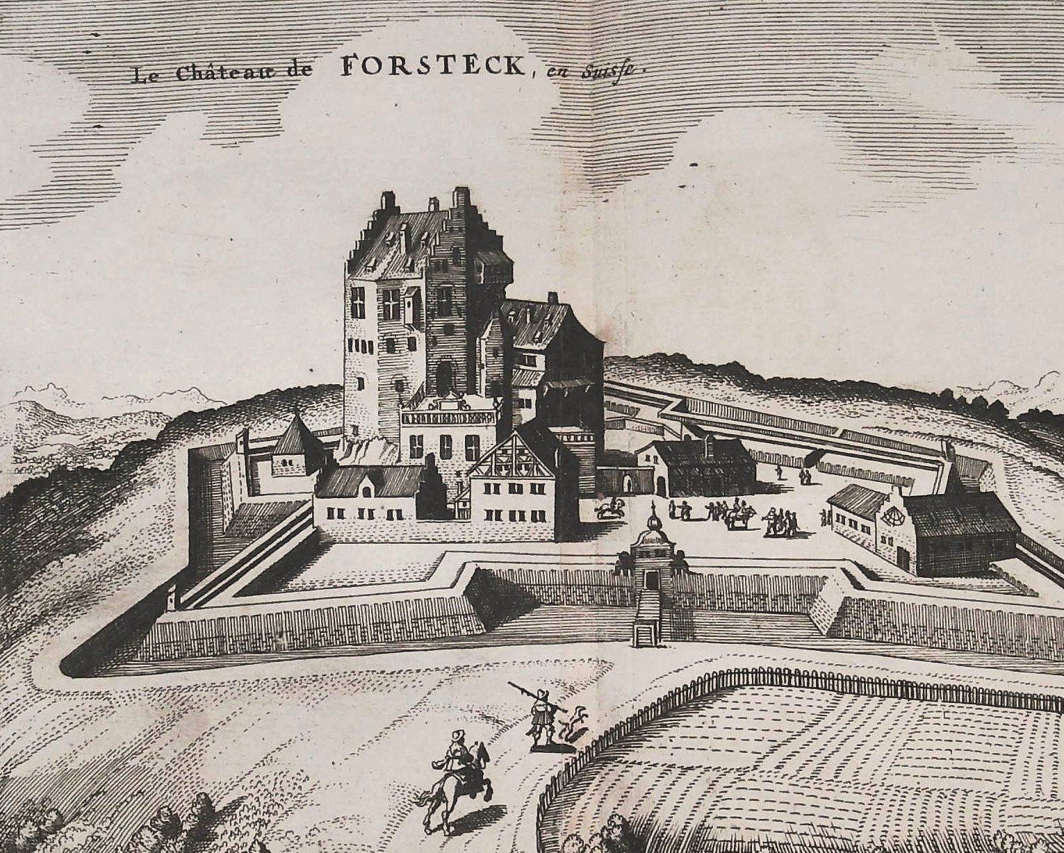 Incisioni: Forsteck Kupferstich von Scheuchzer 1723 – Usato da Rafz venduto da Helvet32 1