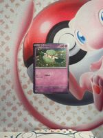 Cottonee Pokemon Karte Holo/Reverse Holo/Common