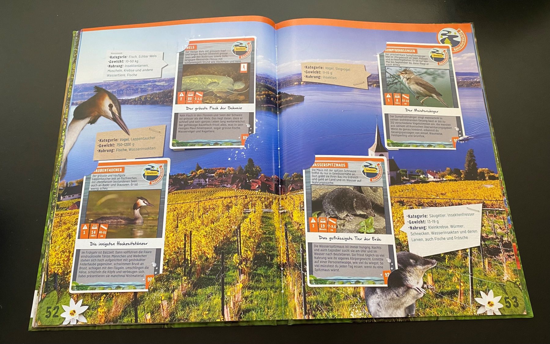 Libri: Abenteuer Natur / Coop / WWF – Usato da Nussbaumen AG venduto da schuba2000 5