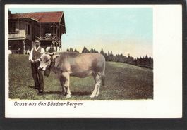 AK,GR Landwirtschaft,Gruss a. Bündner Be