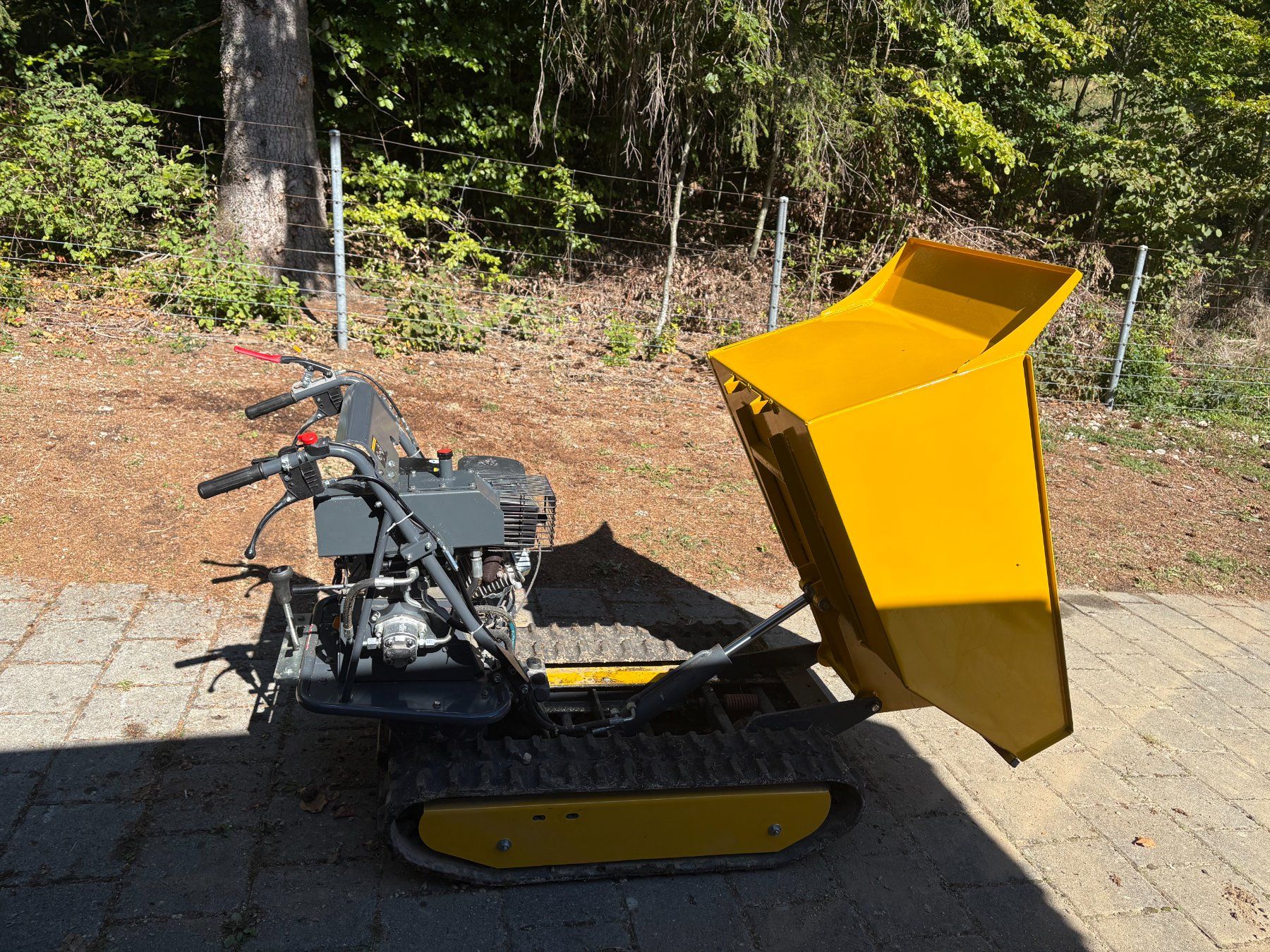Toutes les machines: Motorkarette-Raupendumper – D'occasion à Les Prés d'Orvin par Seelandranger 4
