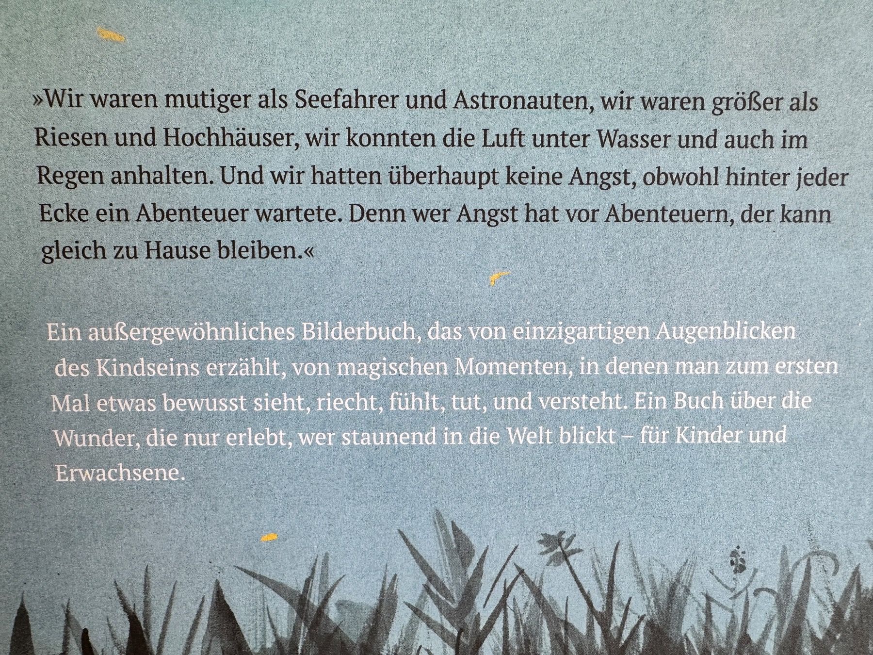 Bücher: Bücherpaket 5 Bilderbücher, neuwertig – Gebraucht aus Zürich von allp 2