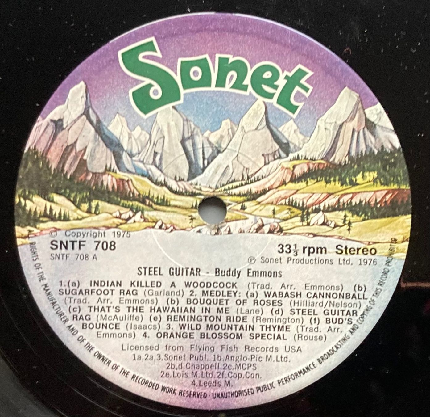 Dischi in vinile: BUDDY EMMONS - STEEL GUITARS – Usato da Poliez-Pittet venduto da Newtown-Records 2