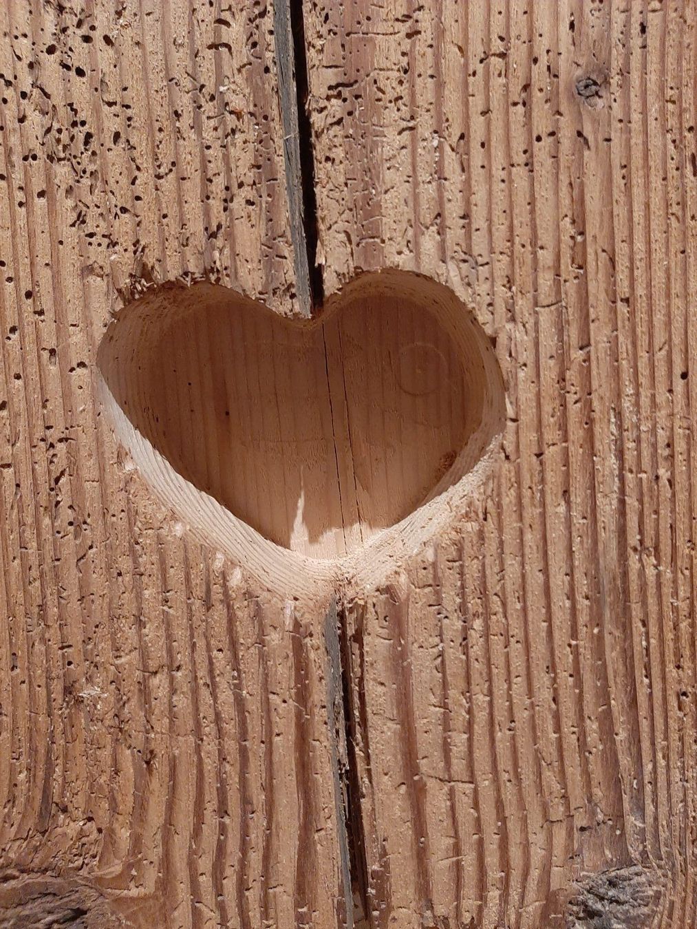 Holzartikel: Holzbalken  Altholzbalken – Gebraucht aus St Gallen von keller020 8