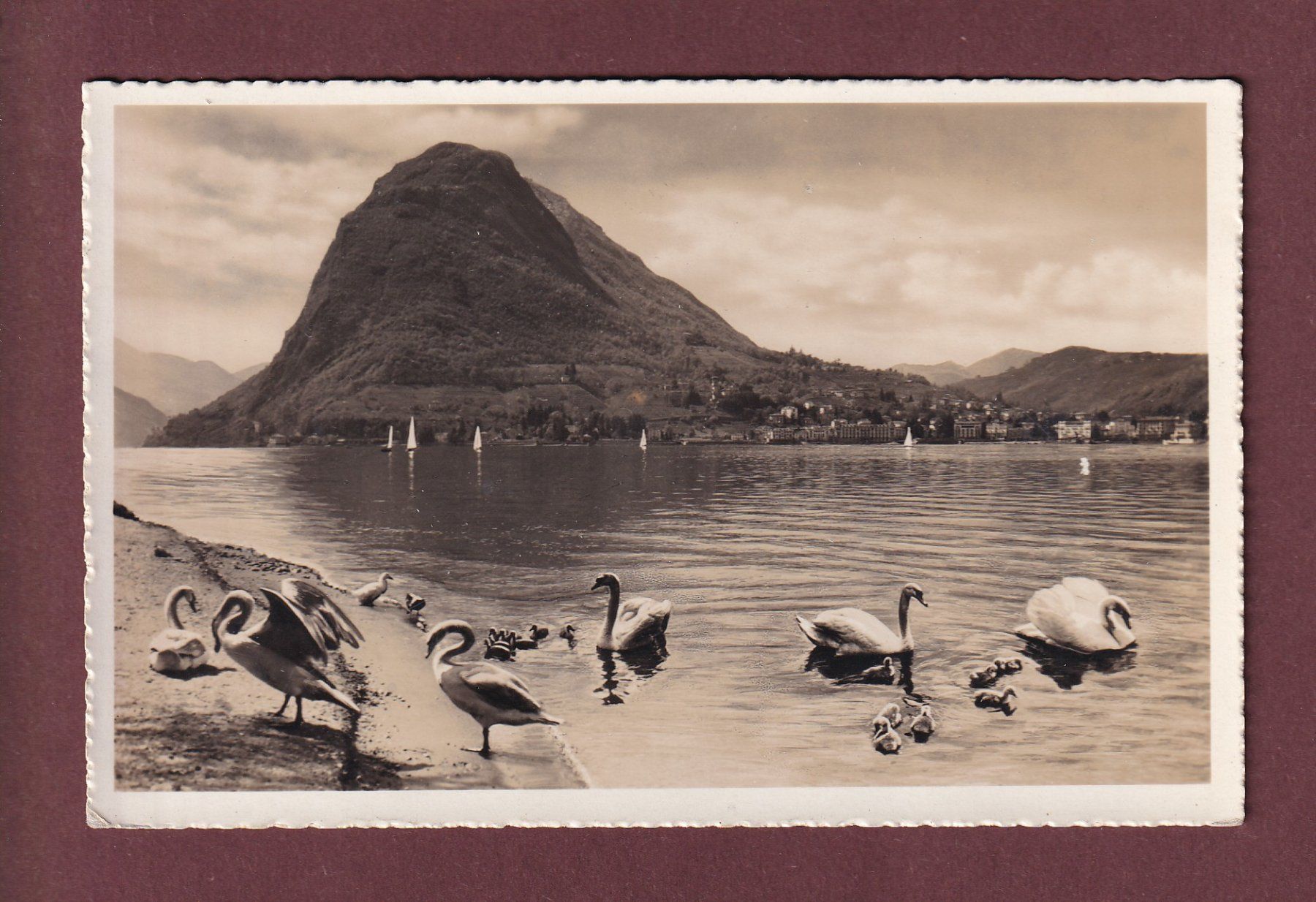 Cartoline postali: LUGANO - Cigni - 1938 – Usato da Pully venduto da nicecards