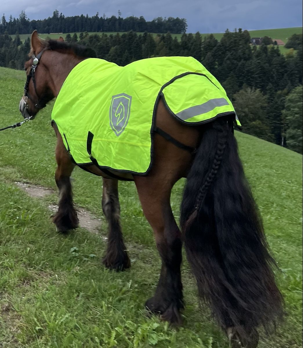 Coperte: Walker Leuchtdecke – Nuovo (secondo la descrizione) da Sumiswald venduto da leo_td9p 1