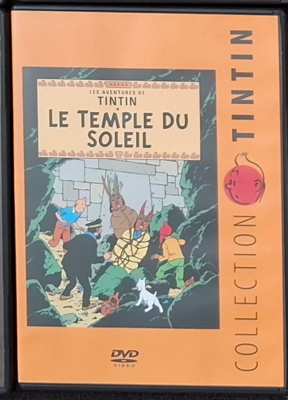 Tutti i DVDs: DVD Collection Tintin – Usato da Lussery-Villars venduto da chanson99