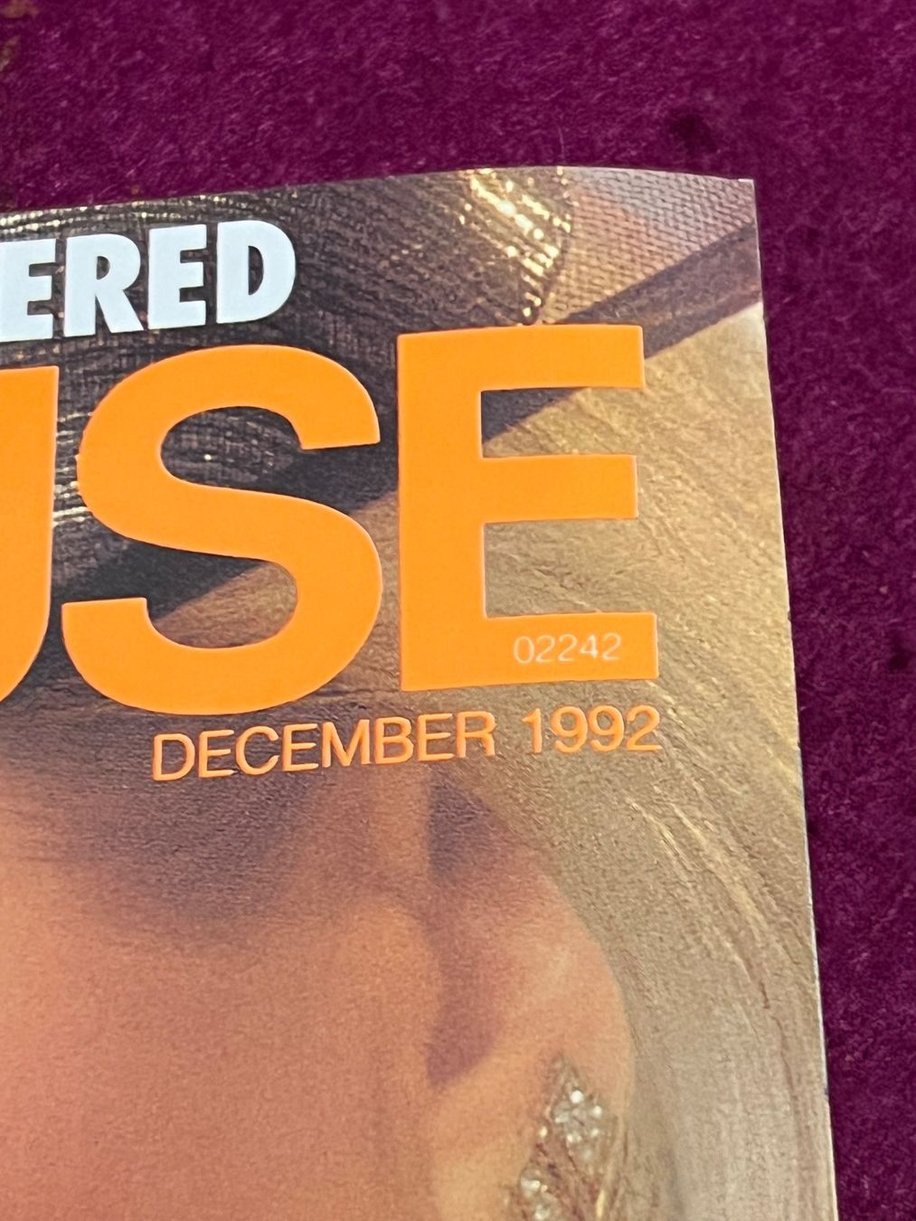 Riviste & Magazine: PENTHOUSE (c) US original Ausgabe – Usato da Uster venduto da Mr.Twister 1
