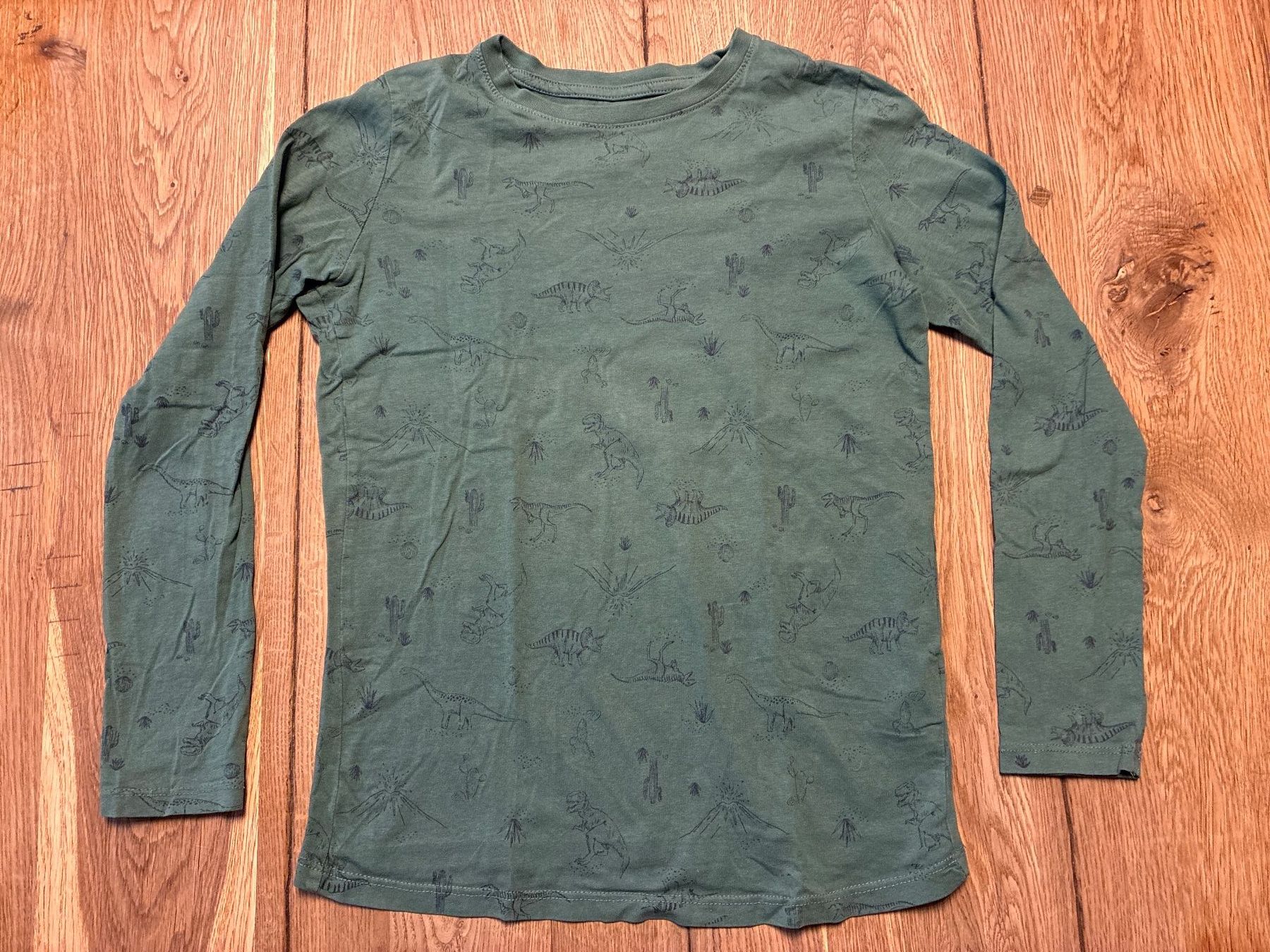 Pullover & Sweatshirts: Kinder Pullover Langarm Grösse 10 A Dinoprint grün – Gebraucht aus Guntershausen von Gloominati