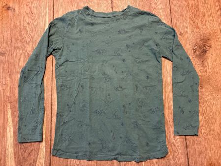 Kinder Pullover Langarm Grösse 10 A Dinoprint grün