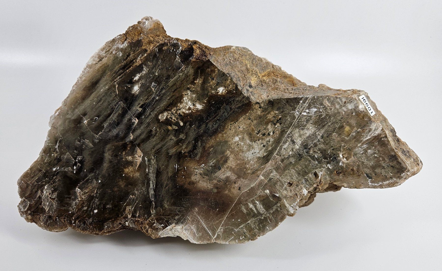 Minerali & Pietre curative: Gipsstufe, Südtunesien – Usato da Uzwil venduto da Chobel1 2