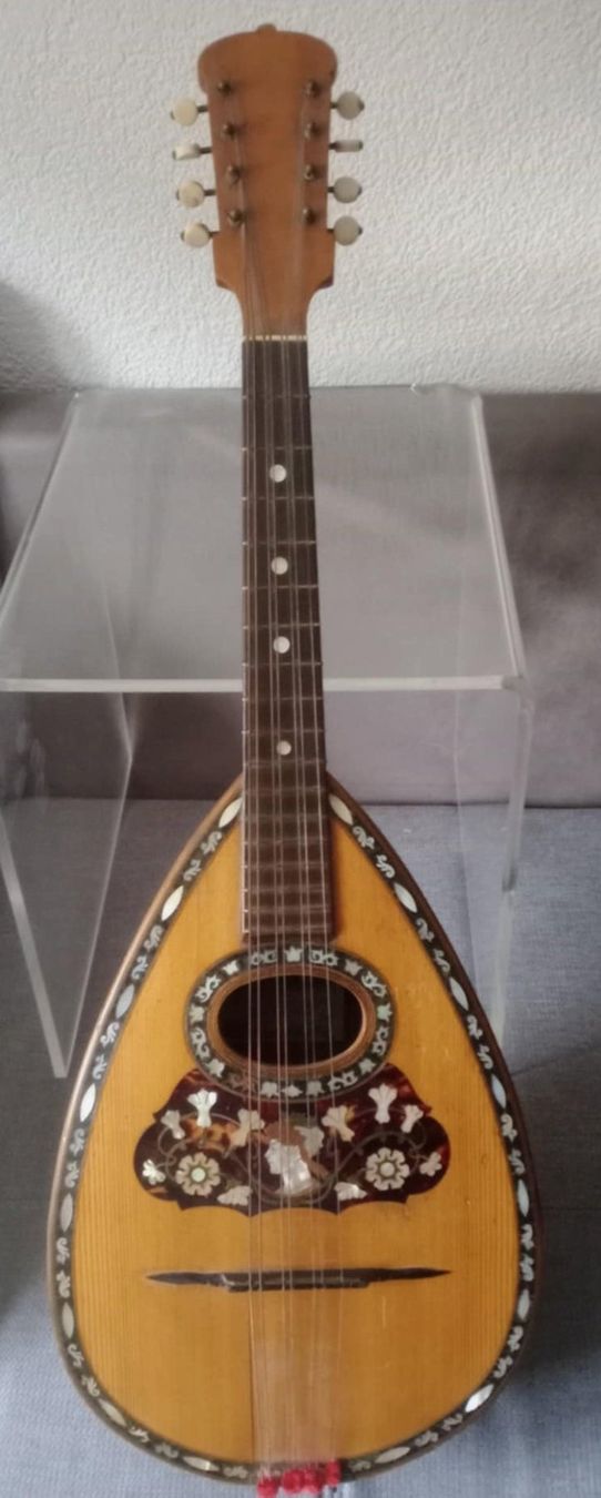 Strumenti musicali: Mandoline Antonio Monzino & Figli / vers 1900 – Usato da Le Locle venduto da borgespatricia