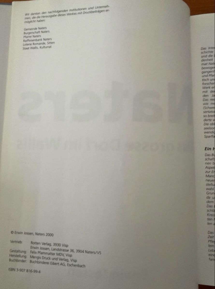 Libri: Buch "Naters - Das grosse Dorf im Wallis" – Nuovo (secondo la descrizione) da Freidorf TG venduto da nad_fxh7 7