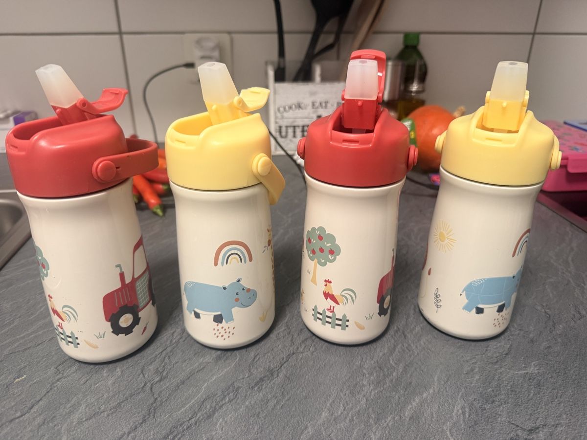 Borracce & Thermos: Edelstahl Isolierflaschen – Usato da Rothrist venduto da ale_h7dz