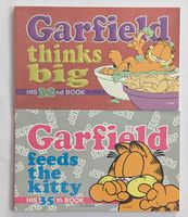 2x Garfield Comics aus den 90er Jahre auf Englisch
