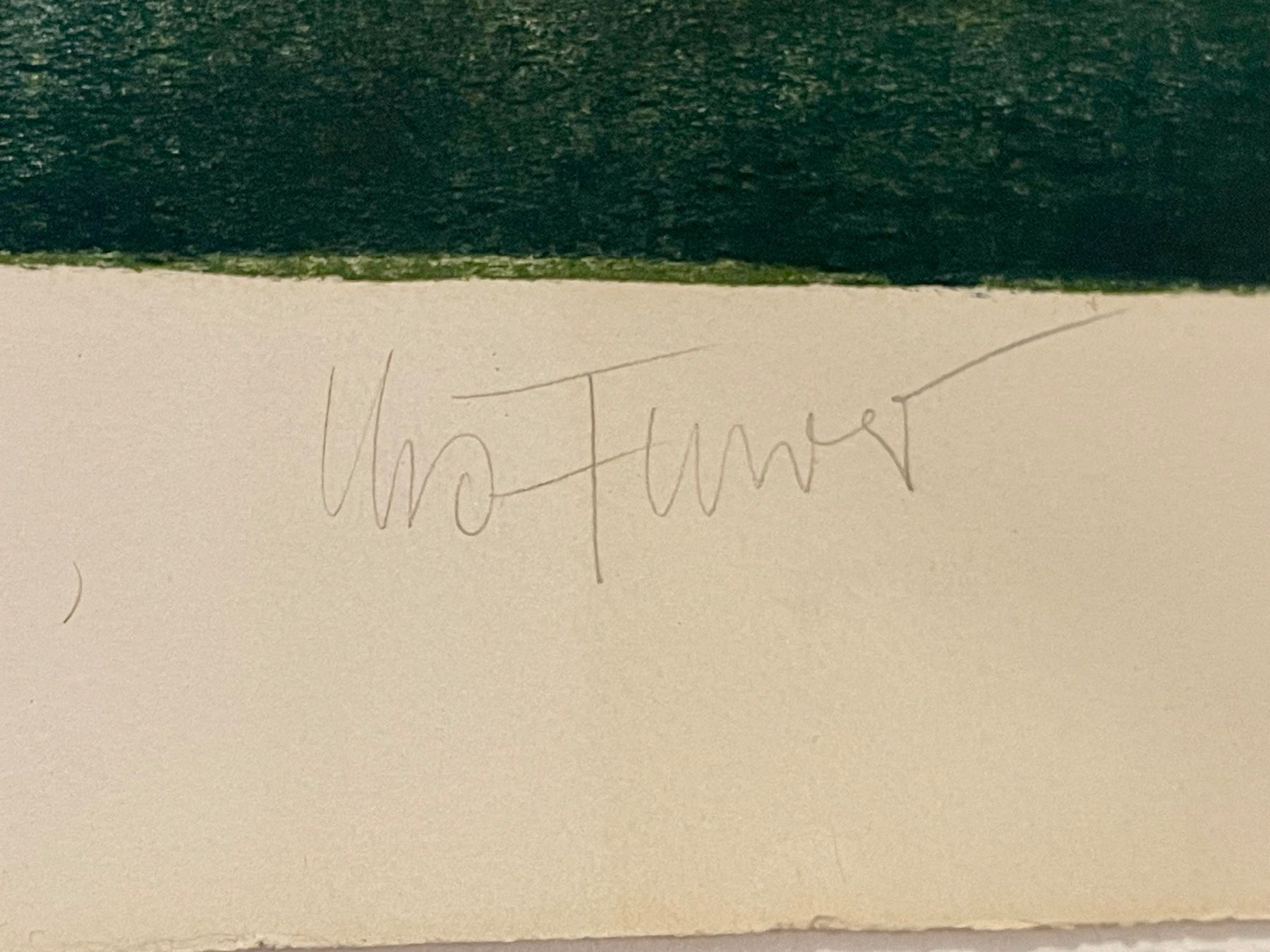 Grafica & Litografie: Urs Furrer Lithographie, nummeriert, mit Unterschrift – Usato da Dänikon ZH venduto da Zrhbna 1