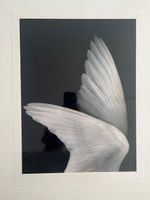 Edgar Leciejewski Schwarzenberg signierte Fotografie 2017