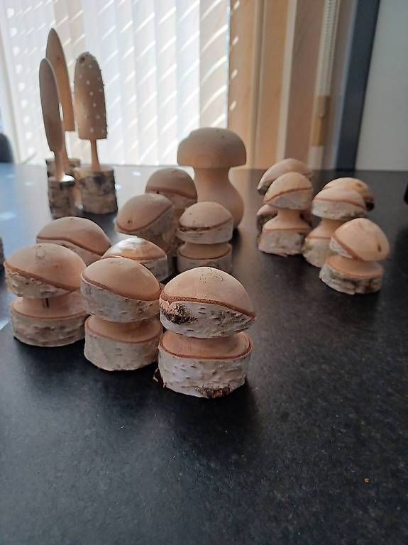 Tutte le decorazioni: Champignons en bois de bouleau – Nuovo e nell'imballaggio originale da Soyhières venduto da 5jm_5czl 1