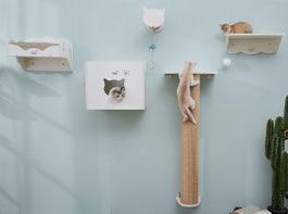 CatS Design Katzen Kletterwand große Katzen Wandpark