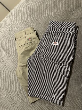 Dickies Slim Fit Shorts Size W31 Stripe Pattern
