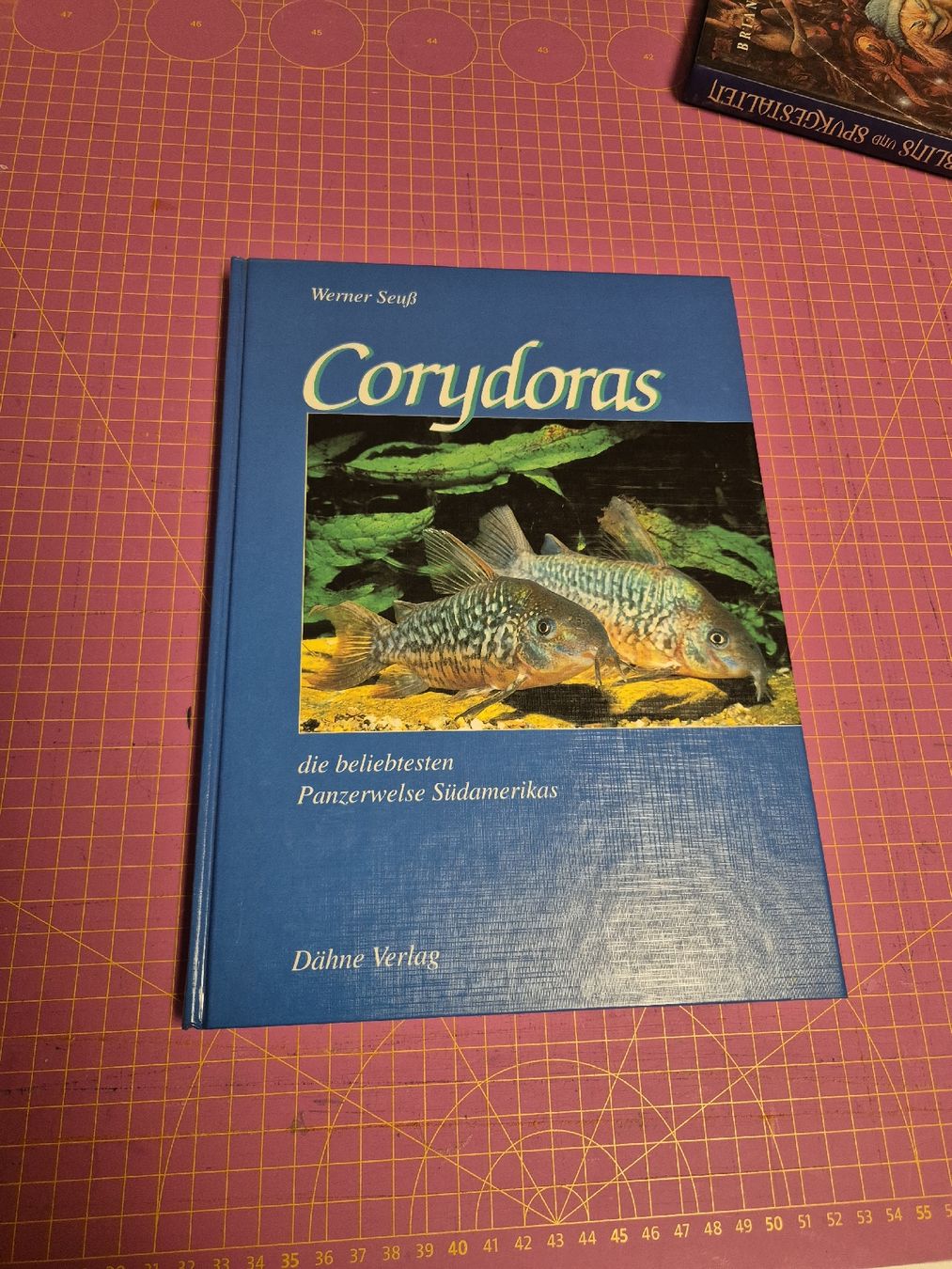 Bücher: Buch Corydoras Panzerwelse Aquaristik – Gebraucht aus Wynigen von La_Talpa