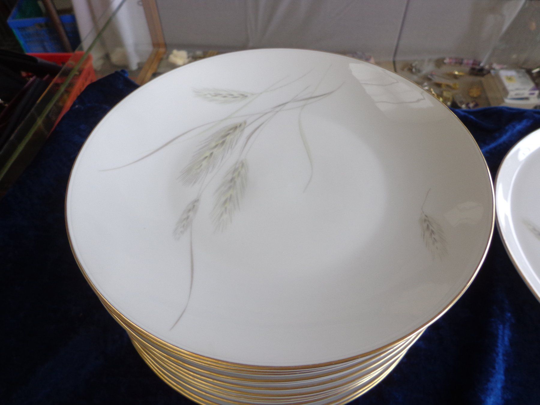 Rosenthal Teller: 12 Rosenthal Teller + 3 Platten – Gebraucht aus Zofingen von schmidi67 3